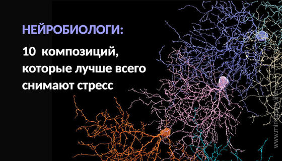 Британские нейробиологи: 10 музыкальных композиций, которые лучше всего снимают стресс