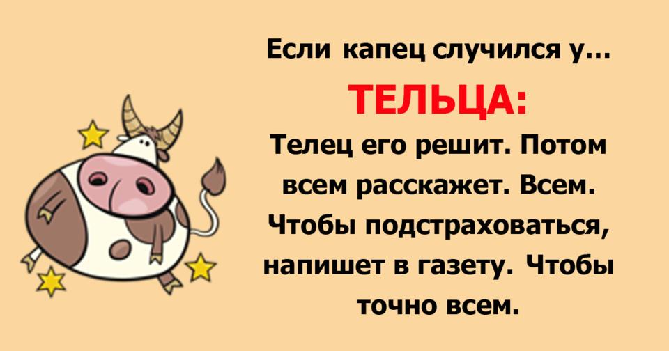 Весёлый гороскоп: как встречают трудности знаки Зодиака