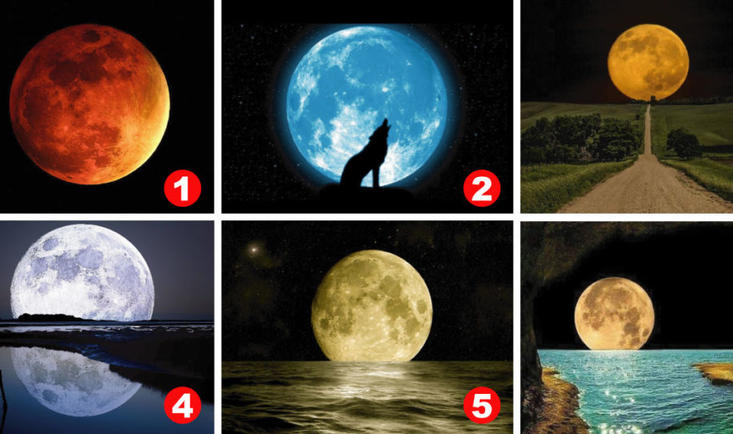 Вот лунный тест от признанного психолога. Какую выбираете вы? 