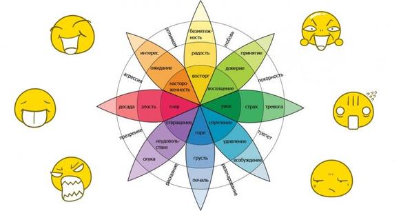 Знаменитое Колесо Эмоций точно определит, где ваше место в обществе! 