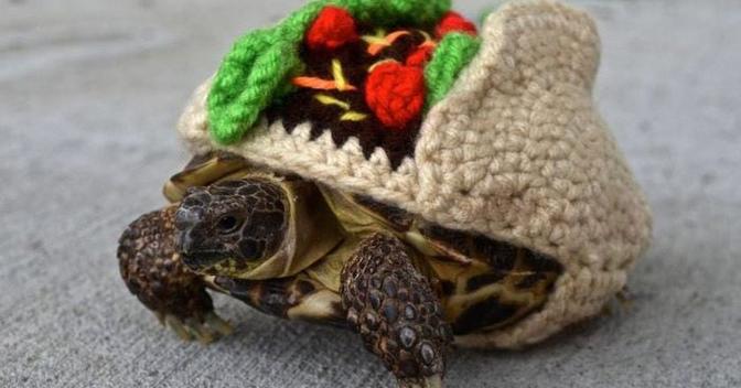 Люди по всему миру готовятся к новогодним праздникам, создавая причудливые свитеры, и некоторые из них воистину гениальны