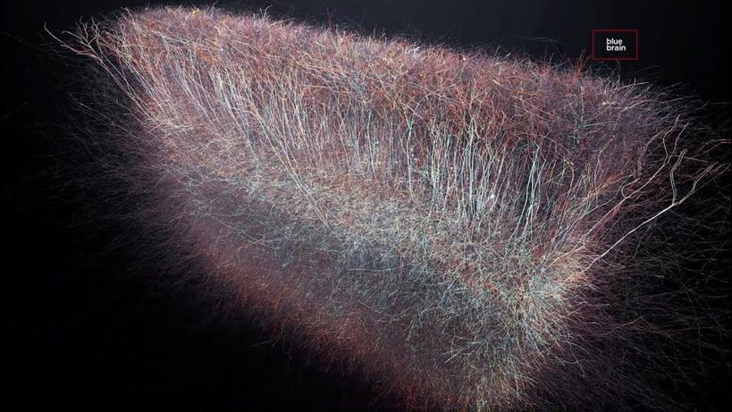 Учёные нашли многомерную Вселенную прямо в человеческом мозге!