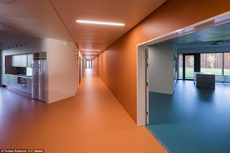 Это новое учреждение в Дании выглядит как университет, но это ДАЛЕКО не так