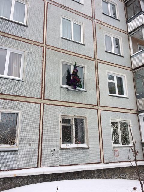 20 необычных новогодних ёлок, которые не вписываются в стандартные каноны красоты