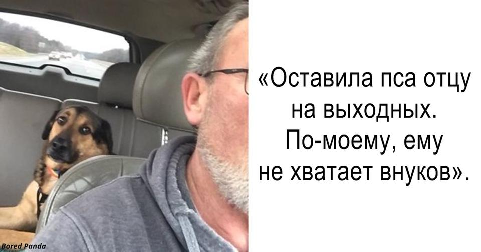 Я оставила собаку с отцом. А потом от них начали приходить СМС-ки...