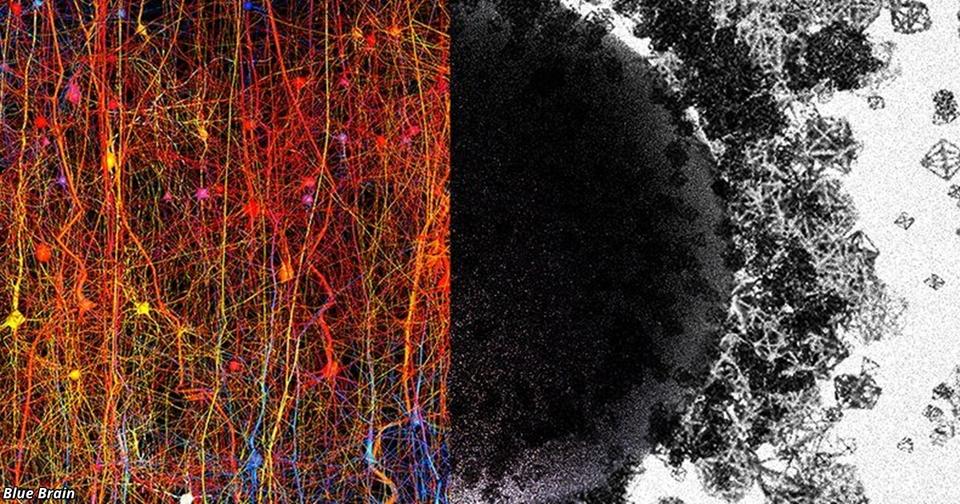 Учёные нашли многомерную Вселенную прямо в человеческом мозге!