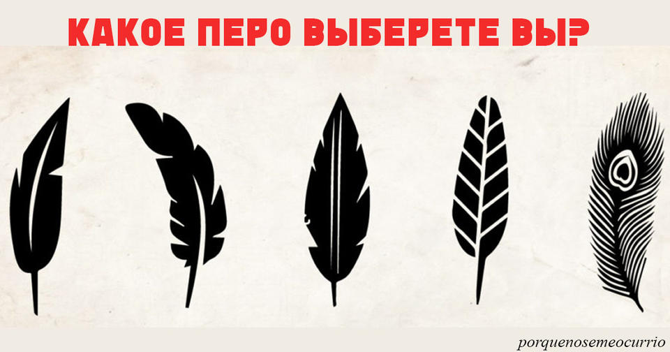 Выберите перо, которое вам нравится, - и мы узнаем, в чем ваша уникальность! 