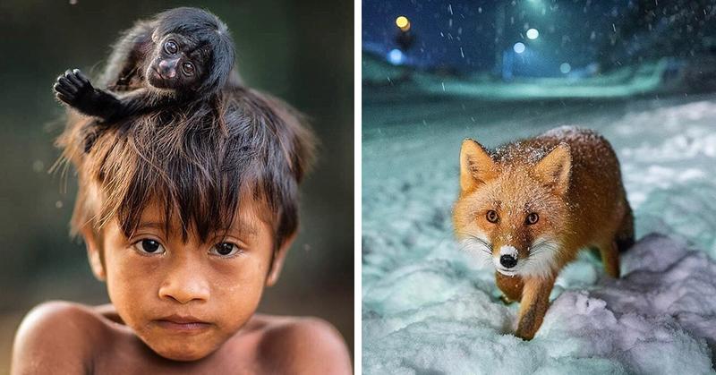National Geographic назвал самые популярные фотографии 2017 года, которые выбрали пользователи Инстаграма