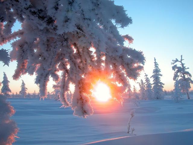 День зимнего солнцестояния: обряды на удачу, деньги и любовь