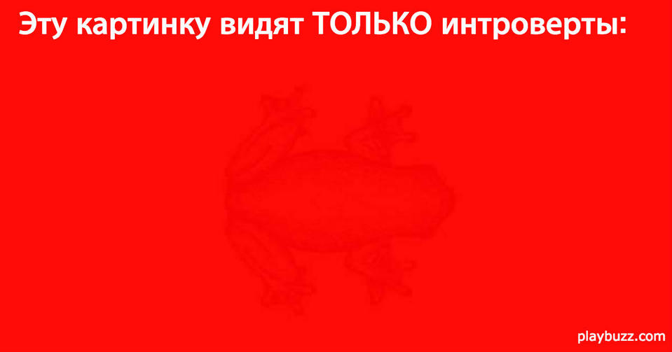 Вы можете увидеть здесь эти картинки, только если вы интроверт! 