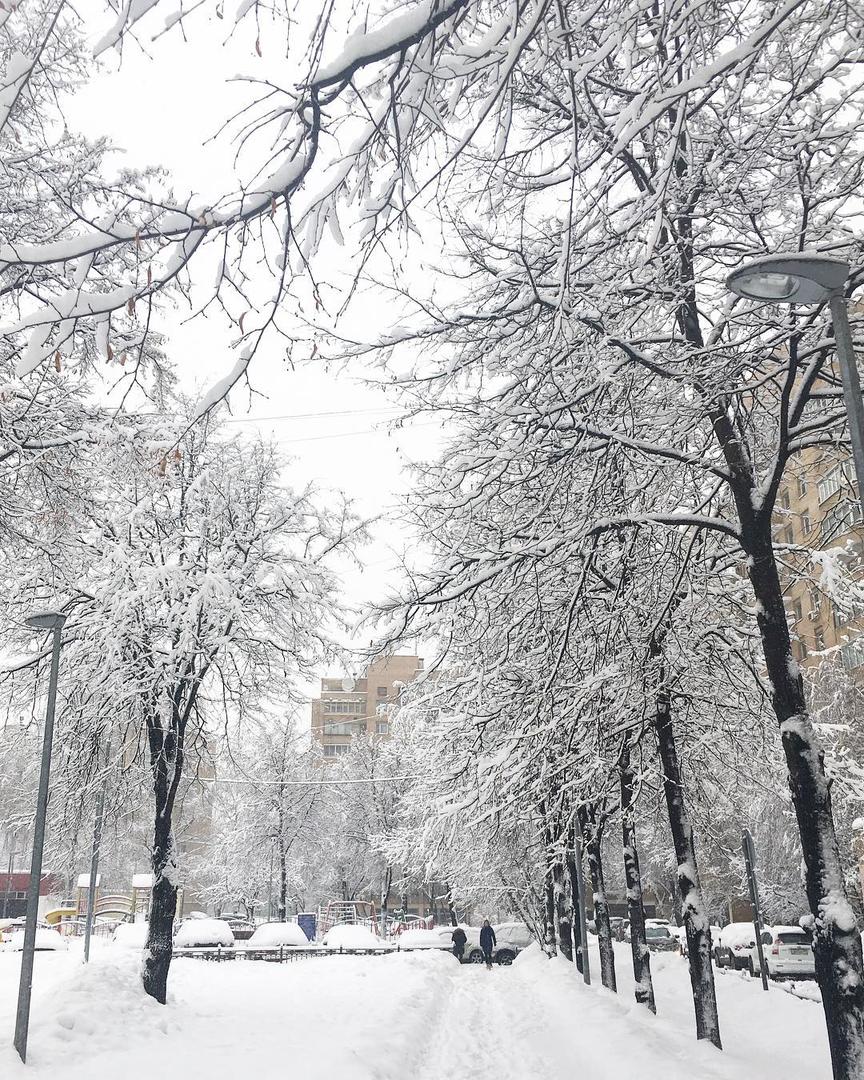 Почему сегодня снег. Январь. Январь снег. Москва в январе. Январь в городе.