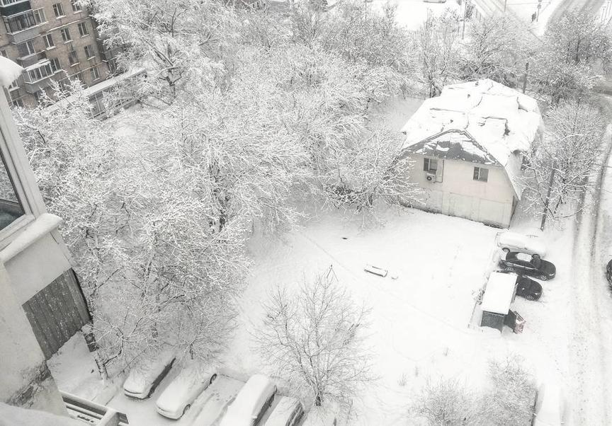 Каким будет январь в москве. Бесснежный январь в Москве. Январь пережили. Москву завалило снегом фото. Россия деревня завалена снегом.