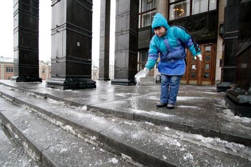 ″У собак разъедает лапы″. Чем именно посыпают зимой наши дороги? 