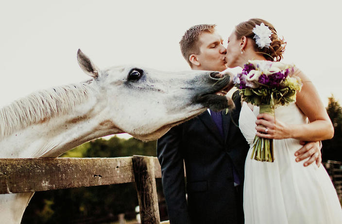 25 свадебных фото, на которых есть кто-то поважнее жениха и невесты