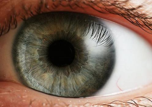 В Италии женщине пересадили искусственную сетчатку глаза. Впервые в мире! 