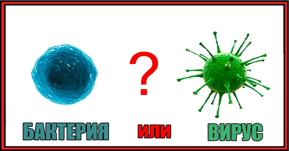 Если у вас есть ребенок, вы обязаны распечатать эту памятку! Просто обязаны! 