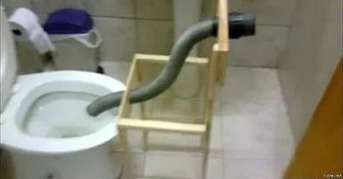 Вот что случается, когда женщина начинает проектировать туалет…