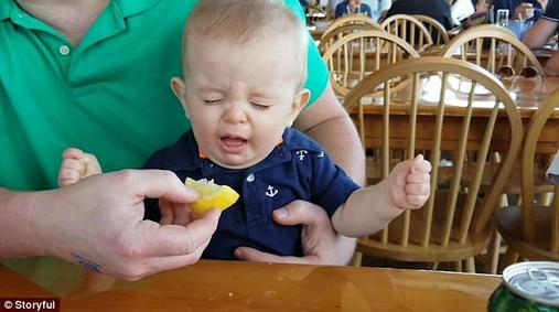 Этот милый малыш впервые в своей жизни пробует лимон, морщится, но просит ещё. Его реакция великолепна