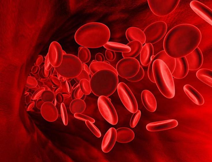 Густая кровь: о чем необходимо знать