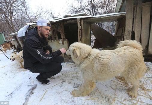 Олимпийский лыжник 90 собак в Корее после того, как сходил на мясную собачью ферму