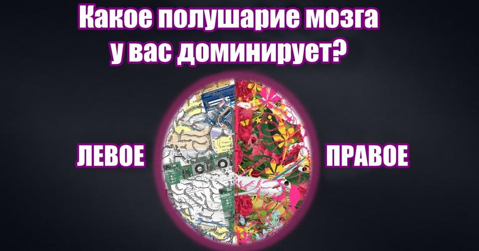 А что управляет вашей жизнью - разум или чувства? 