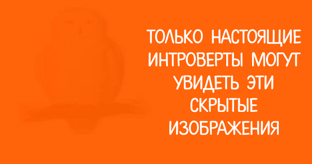 Только настоящие интроверты могут увидеть эти скрытые изображения!