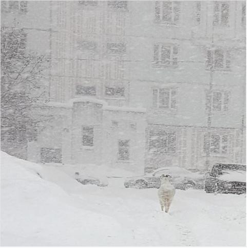 В Москве - самый большой снегопад за 100 лет. Вот фото