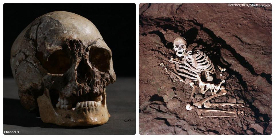 Анализ ДНК показал, как выглядел истинный британец 10 000 лет назад. Никто не может поверить! 