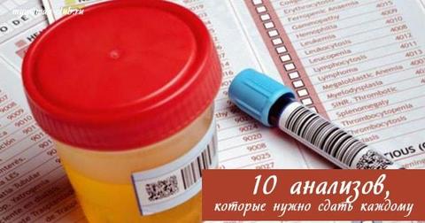 10 анализов, которые нужно сдать каждому