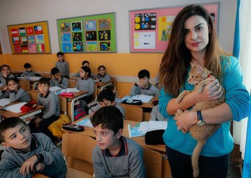В одну из школ Турции просто взял и пришёл кот. Многие были против животного, живущего в классе, но он и не думал уходить