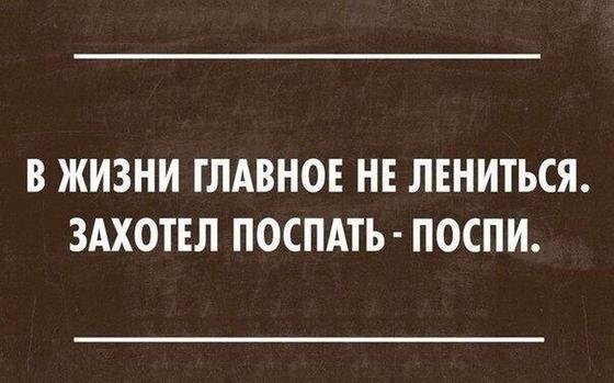 15 убойных историй для хорошего настроения