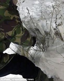 В Казахстане −56 ° C. Это когда дикие животные превращаются в лед на ходу!