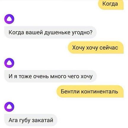 Голосовой помощник Алиса заболтает кого угодно. Но беседа с ней может получить неожиданный поворот