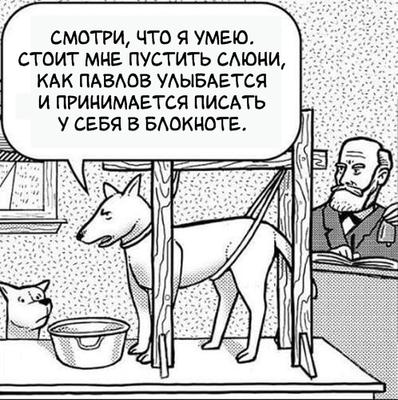 19 рисунков, которые научат вас смотреть на жизнь с точки зрения другого человека