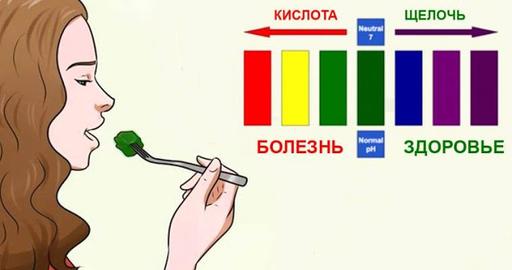 Список лучших 27 щелочных продуктов на планете