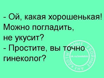 15 убойных историй для хорошего настроения