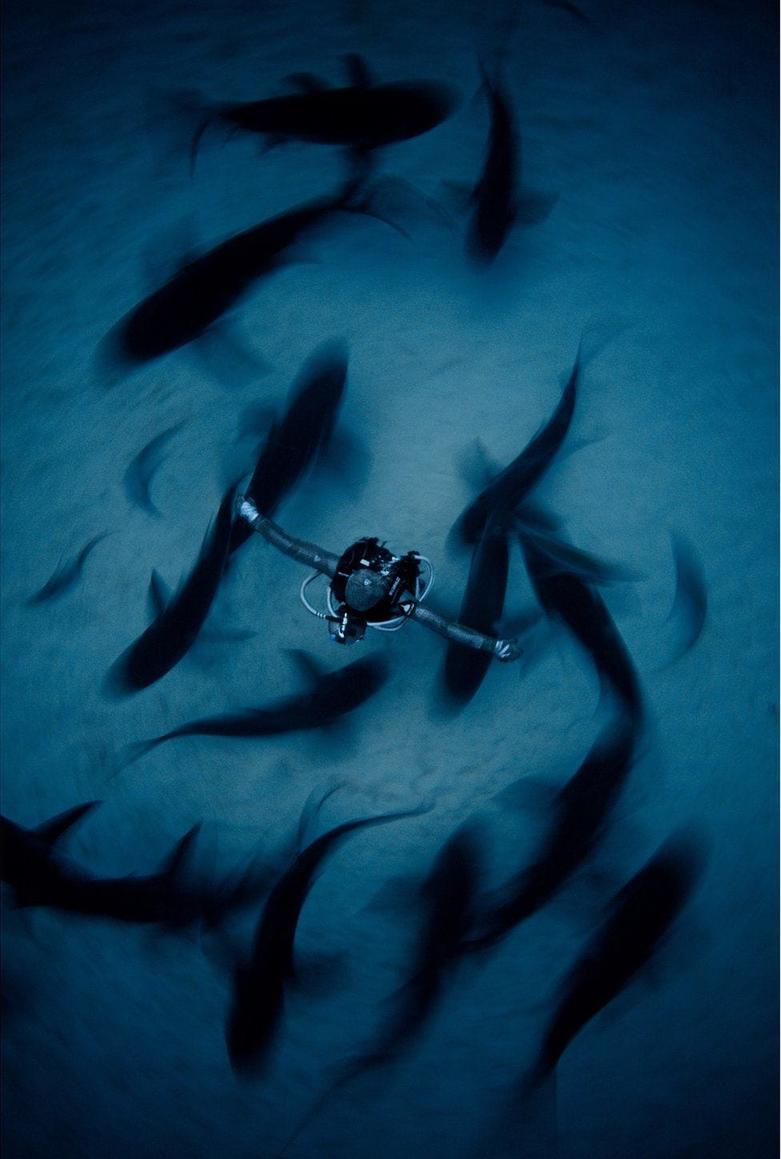 Объявлены победители конкурса на лучшего подводного фотографа 2018 года. Судьям явно пришлось нелегко, ведь все работы достойны главного приза