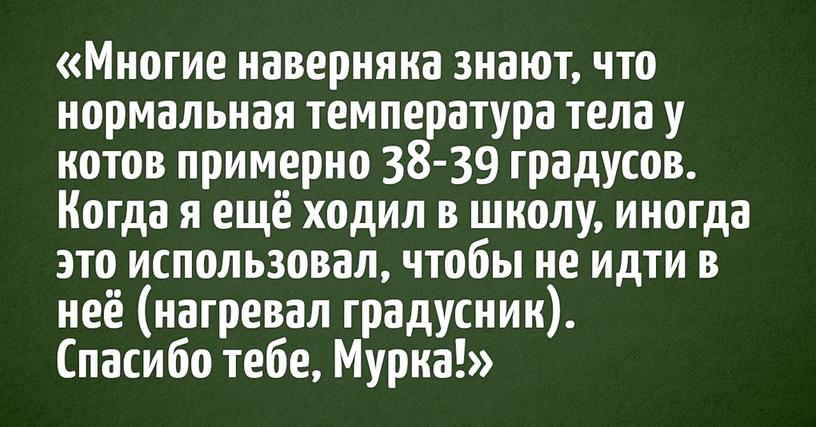 Пользователи интернета поделились забавными и немного безумными лайфхаками, которые когда то помогали им в жизни. И ведь они реально работают!