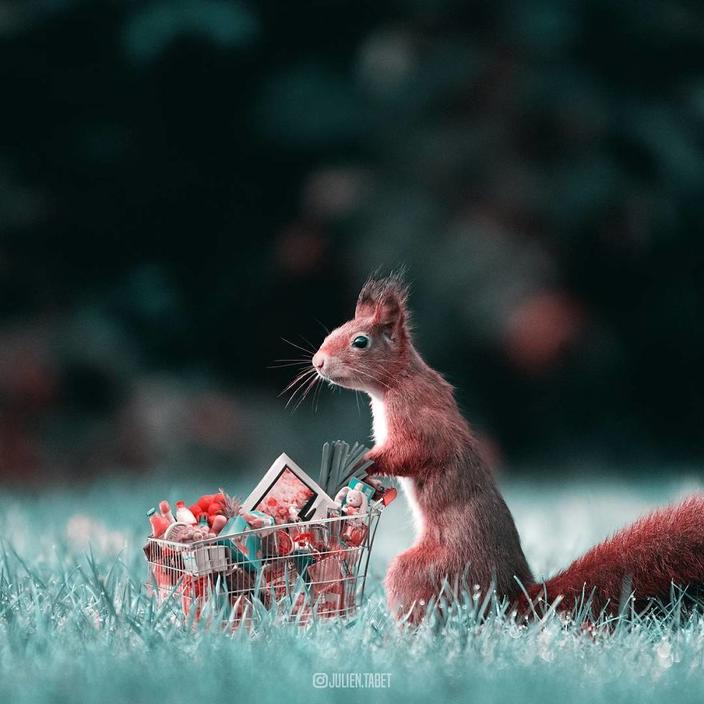 Я использую Photoshop, чтобы делать сказочных животных. Как вам?!
