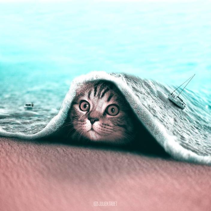 Я использую Photoshop, чтобы делать сказочных животных. Как вам?!