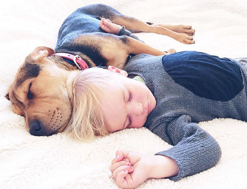 Больше всего на свете этот мальчик любит спать со своим щенком! И мы теперь тоже их любим! 
