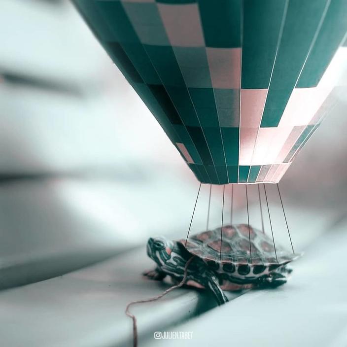 Я использую Photoshop, чтобы делать сказочных животных. Как вам?!