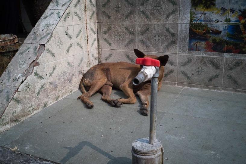 Фотограф так тонко подмечает маленькие окружающие совпадения, что сначала вы можете их и не разглядеть. А потом начнёте видеть их везде