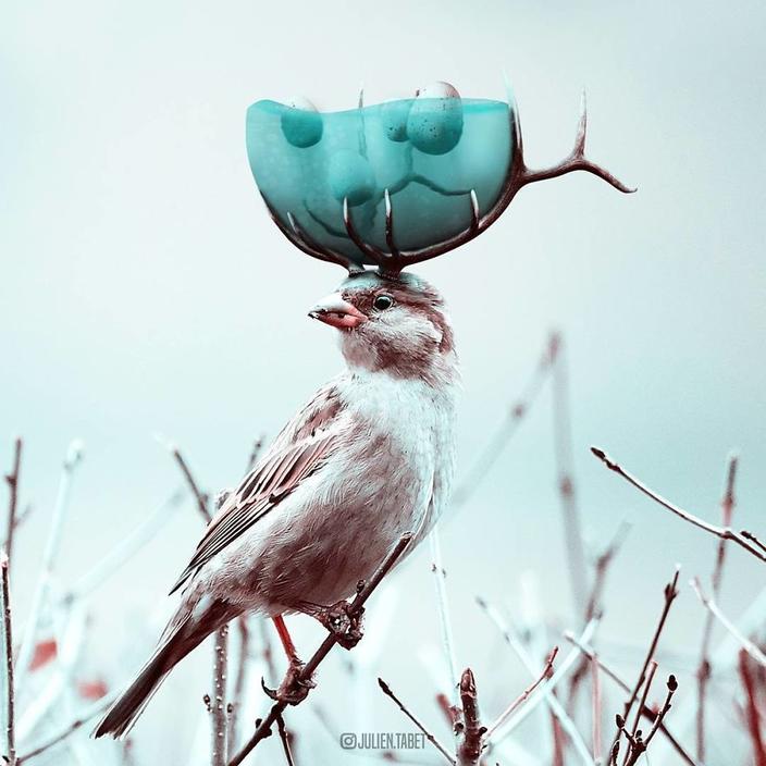Я использую Photoshop, чтобы делать сказочных животных. Как вам?!
