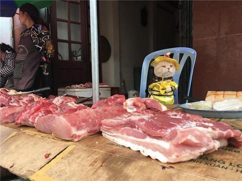 Знакомьтесь: самый крутой продавец рыбы во всем Вьетнаме! 