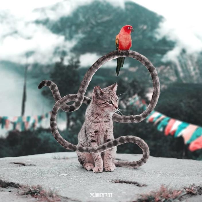 Я использую Photoshop, чтобы делать сказочных животных. Как вам?!