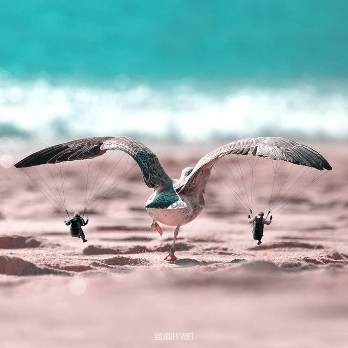 Я использую Photoshop, чтобы делать сказочных животных. Как вам?!