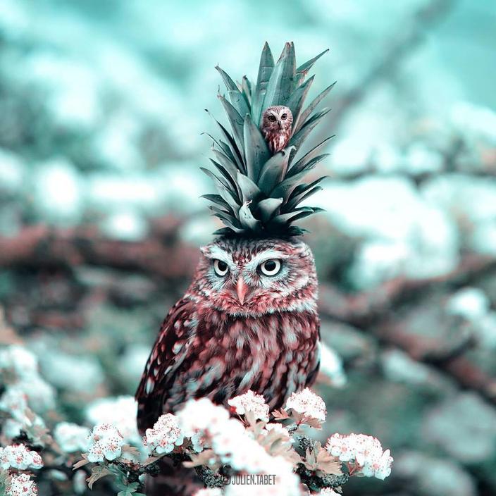 Я использую Photoshop, чтобы делать сказочных животных. Как вам?!