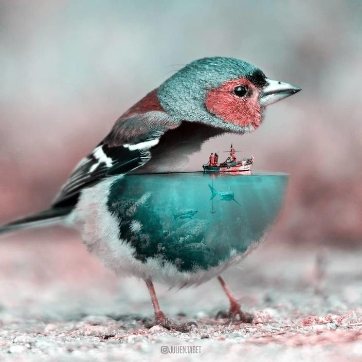 Я использую Photoshop, чтобы делать сказочных животных. Как вам?!