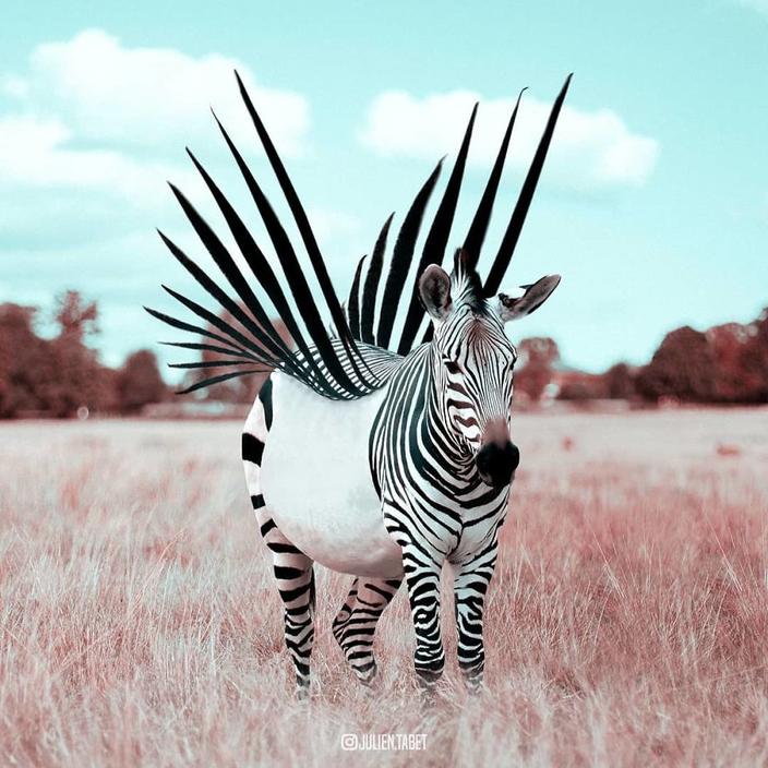 Я использую Photoshop, чтобы делать сказочных животных. Как вам?!